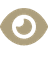 Vision icon